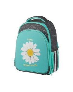 Школьный рюкзак Expert Plus Chamomile / RU07144 Berlingo