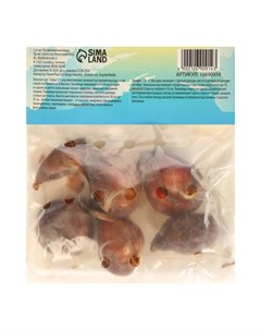 Тюльпан Вайт Либрстар, р-р 12/+, 5шт, Осень 2024 Сады дедушки никиты