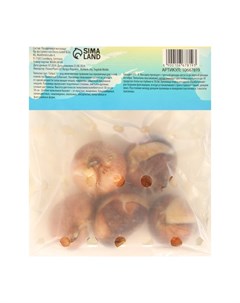 Тюльпан Триумф Гранд Перфекшн, р-р 12+, 5 шт, Осень 2024 Сады дедушки никиты