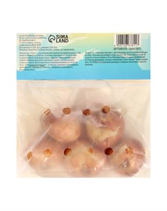 Тюльпан Дарвин гибрид Трик, р-р 12+, 5 шт, Весна 2025 Сады дедушки никиты