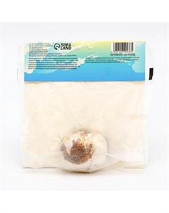 Аллиум лук декоративный Гладиатор, многолетник, луковица, р-р 18/20, 1 шт. Сады дедушки никиты