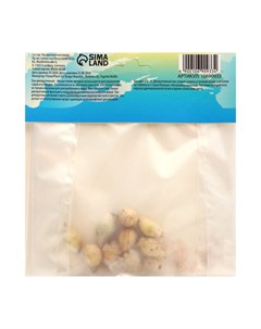 Аллиум лук декоративный Азуреум (Керулеум), многолетник, луковица, р-р 5/+, 10 шт. Сады дедушки никиты