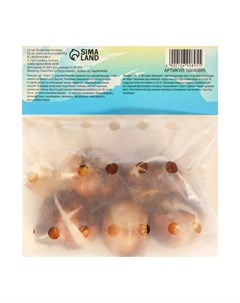 Тюльпан "Алгарве, р-р 12/+, 5шт, Весна 2025 Сады дедушки никиты