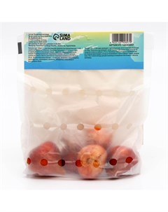 Тюльпан Флайр, р-р 12/+, 5шт, Весна 2025 Сады дедушки никиты