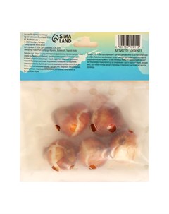 Тюльпан Пинк Ардур, р-р 11/12, 5шт, Весна 2025 Сады дедушки никиты