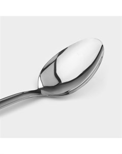 Ложка разливательная из нержавеющей стали Everyday, 38×7 см, толщина 3 мм, серебристая Доляна