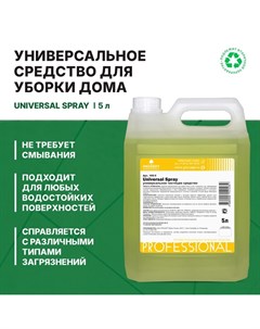 Универсальное моющее и чистящее средство Universal Spray, готовое к применению, 5 л Prosept