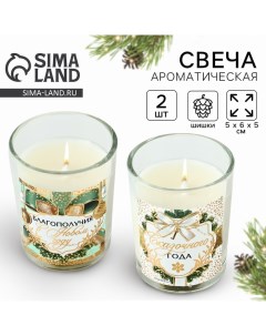 Набор свечей ароматических в стакане «Благополучия в Новом году», 2 шт., еловые шишки, 5×6×5 см Сима-ленд