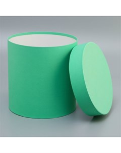 Коробка подарочная круглая,«Салатовая»21×21×21 см Upak land