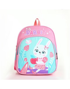 Рюкзак детский «» на молнии, с карманами, размер 23×14×30 см, розовый/голубой Выбражулька