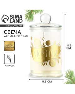 Ароматическаяв свеча новогодняя в банке «Мечты сбудутся», лаванда, 11.5×5.8 см Сима-ленд