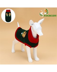 Свитер для животных «Рога удачи», размер L (ДС 35 см, ОШ 29, ОГ 29-49), зелёный Пижон