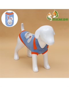 Свитер для животных «Зайка», 2XL (ДС 34, ОШ 34, ОГ 32-51 см) Пижон