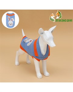 Свитер для животных «Зайка», S (ДС 23, ОШ 23, ОГ 26-45 см Пижон