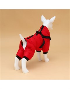 Комбинезон для собак со шлейкой «Моден», размер 14 (ДС 32, ОГ 42, ОШ 31 см), красный Пижон