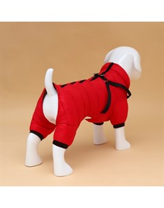 Комбинезон для собак со шлейкой «Моден», размер 18 (ДС 40, ОГ 50, ОШ 38 см), красный Пижон