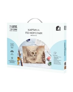 Картина по номерам Три совы Полярная сова / КХ_44165