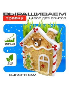 Набор для опытов «Выращиваем травку: Домик», с семенами Эврики