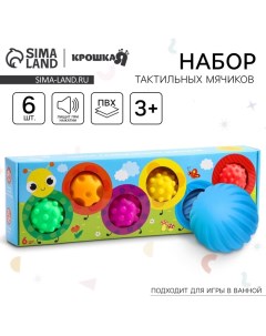Подарочный набор массажных развивающих мячиков «Гусеница», 6 шт., от 3 лет Крошка я
