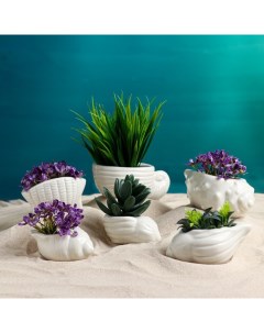 Набор фигурных кашпо для цветов «Ракушки», керамика, 6 шт. Take it easy