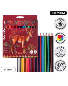 Карандаши цветные 24 цвета Safari, дерево, трёхгранные, с европодвесом Erichkrause