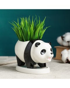 Горшок для цветов «Панда», 350 мл, 15×8×9 см, керамика, с поддоном Take it easy