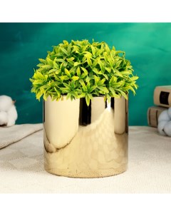 Кашпо "Лайт" золотое, 12х12х11см Take it easy