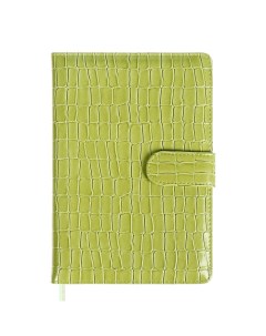 Ежедневник датированный 2025, A5, 168 листов, . Barbara, твёрдая обложка с поролоном из искусственной кожи, перфорация, ляссе, блок 70 г/м2, зеленый Devente
