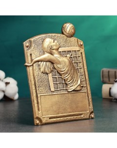 Фигура наградная, стела TAKE IT EASY «Волейбол женский», 14×5×20 см Сима-ленд
