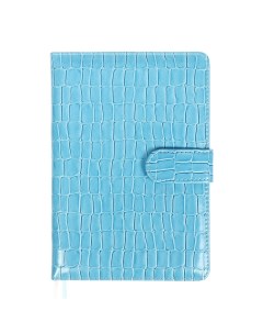 Ежедневник датированный 2025, A5, 168 листов, . Barbara, твёрдая обложка с поролоном из искусственной кожи, перфорация, ляссе, блок 70 г/м2, голубой Devente