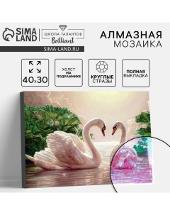 Алмазная мозаика с полным заполнением на подрамнике «Лебеди на озере», 30×40 см Школа талантов