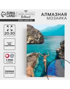 Алмазная мозаика с полным заполнением на холсте «Прыжок», 20×30 см Школа талантов