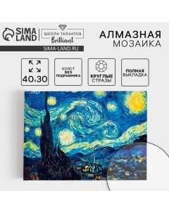 Алмазная мозаика с полным заполнением на холсте «Звёздная ночь», 30 х 40 см Школа талантов