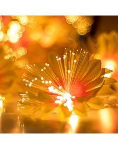 Декоративная подсветка «Астры» 20хLED 4000К 5 м оранжевый 500×9×9 см Risalux