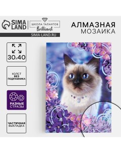 Алмазная мозаика с частичным заполнением и форменными стразами на холсте «Красивая кошечка», 30×40 см Школа талантов