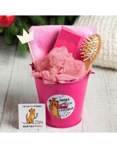 Набор подарочный «. Милая, с Новым годом», 6 предметов, полотенце, мочалка, расчёска Этель