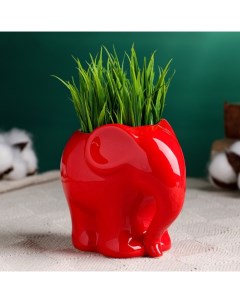 Декоративный горшок для цветов «Слоник», 350 мл, 12×8.5×10 см, керамический, красный Take it easy