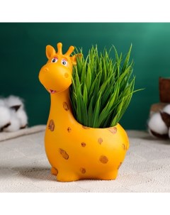 Горшок для цветов «Жираф», полистоун, 175 мл, 10×7.5×16 см, оранжевый Take it easy