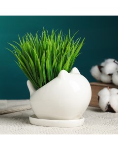 Горшок для цветов «Котик» керамический, 250 мл, 11×5×8.5 см, белый Take it easy