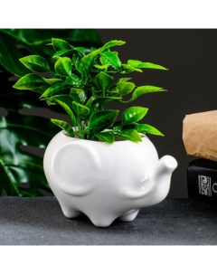 Горшок для цветов «Слоник Уайти», керамический, 200 мл, 13×9×7.5 см, белый Take it easy