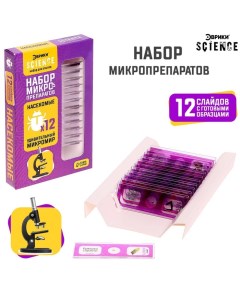 Набор для опытов «Набор микропрепаратов», насекомые Эврики