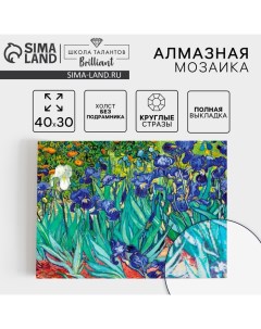 Алмазная мозаика с полным заполнением на холсте «Ирисы», 30×40 см Школа талантов