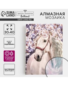 Алмазная мозаика с частичным заполнением и форменными стразами на холсте «Прекрасный конь», 30 х 40 см Школа талантов