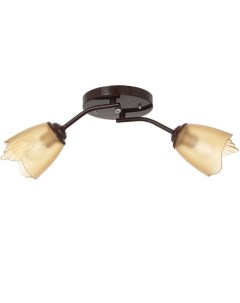 Люстра «Оникс» 2×15 Вт E27, коричневый, 50×15×15 см Bayerlux