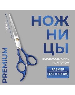 Ножницы парикмахерские с упором Premium, лезвие — 6.5 см, серебристые, синие Qf