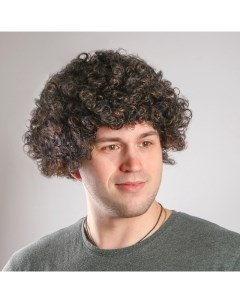 Карнавальный парик «Кудрявый», 90 г Страна карнавалия