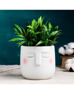 Горшок для цветов «Мистер Твикс» керамический, 600 мл, d=8.5 см, 10×9.5 см, белый Take it easy