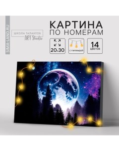 Картина по номерам с подрамником и гирляндой «Космос», 20 х 30 см Школа талантов