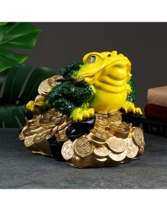 Копилка для денег «Жаба большая на деньгах», гипс, 26×32×22 см Хорошие сувениры