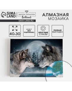 Алмазная мозаика с полным заполнением на холсте «Волки», 30×40 см Школа талантов